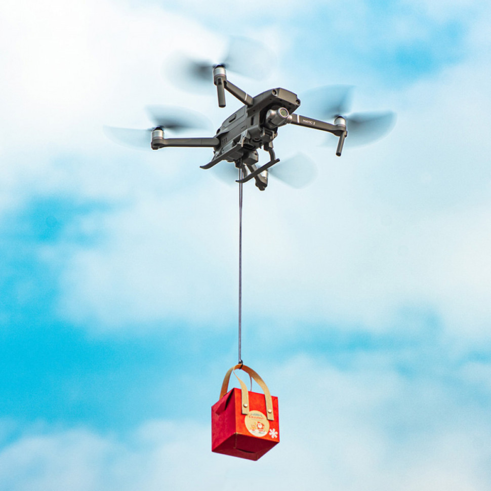 Система сброса груза StartRC для квадрокоптера DJI Mavic 2 (1109923)