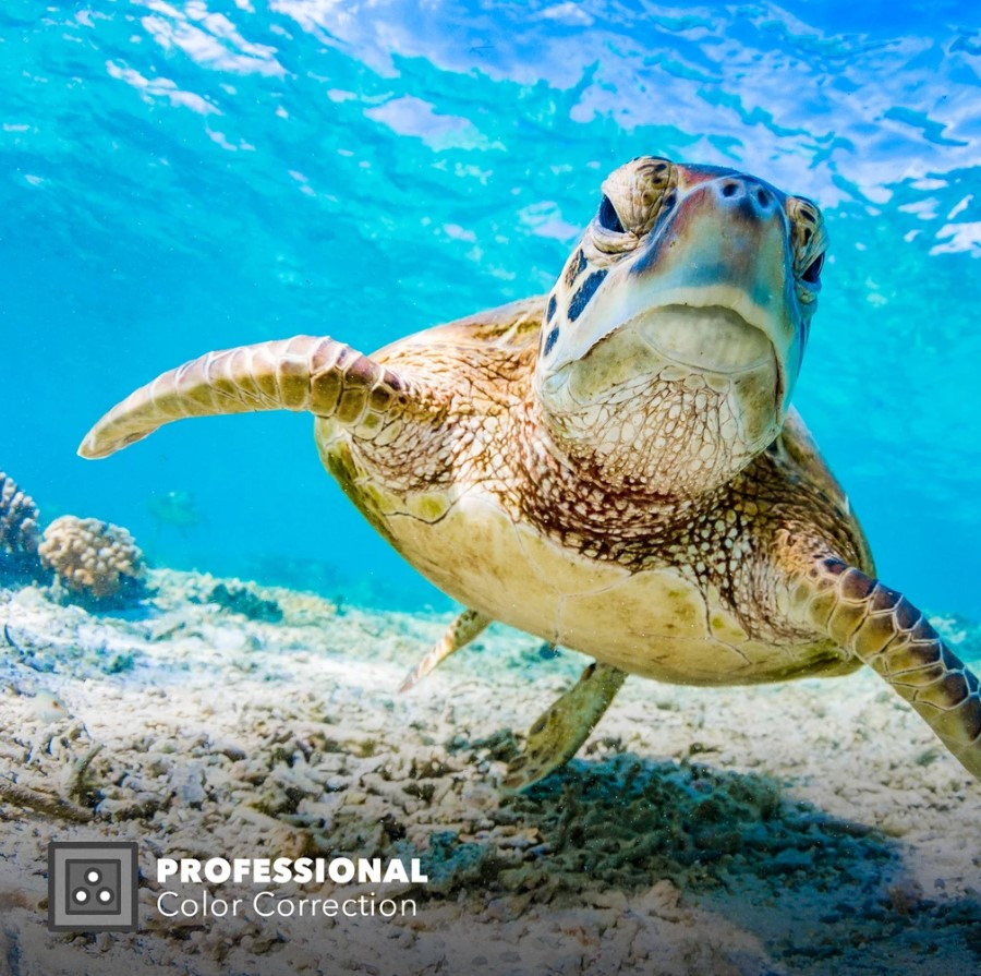 Красный подводный фильтр PolarPro для корпуса Protective Housing GoPro HERO8 Black (H8-RED-PROT)