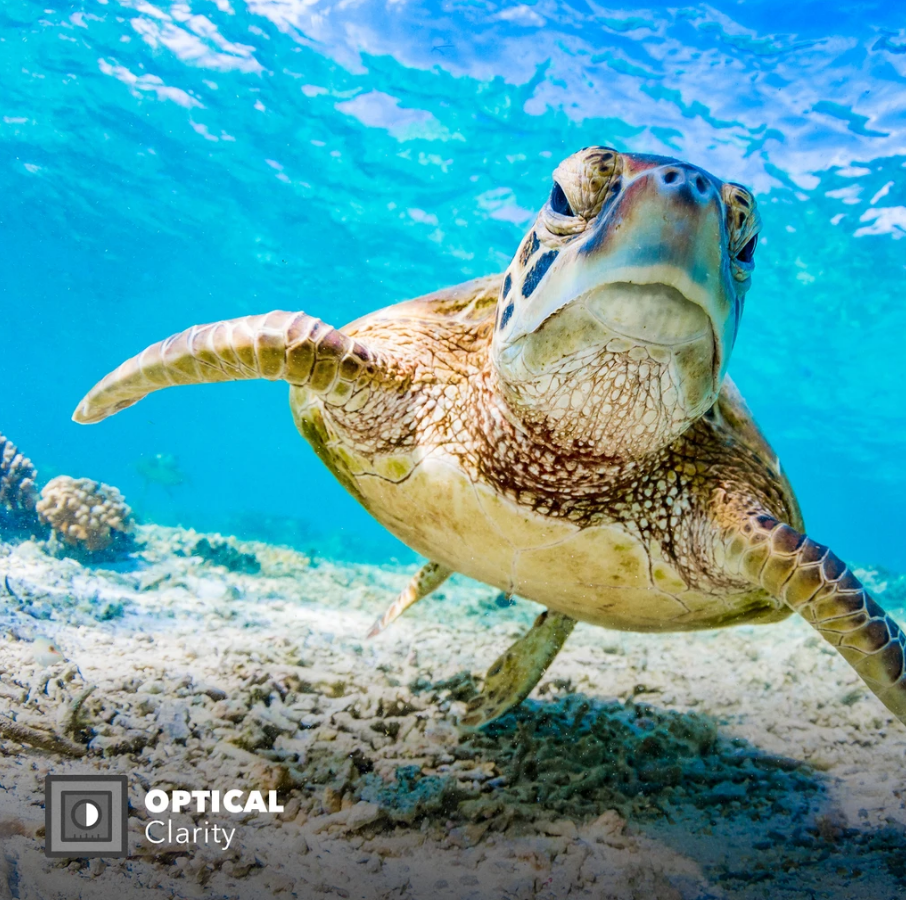 Набор из 3 подводных фильтров PolarPro для корпуса Protective Housing GoPro HERO8 Black (H8-1016-PROT)