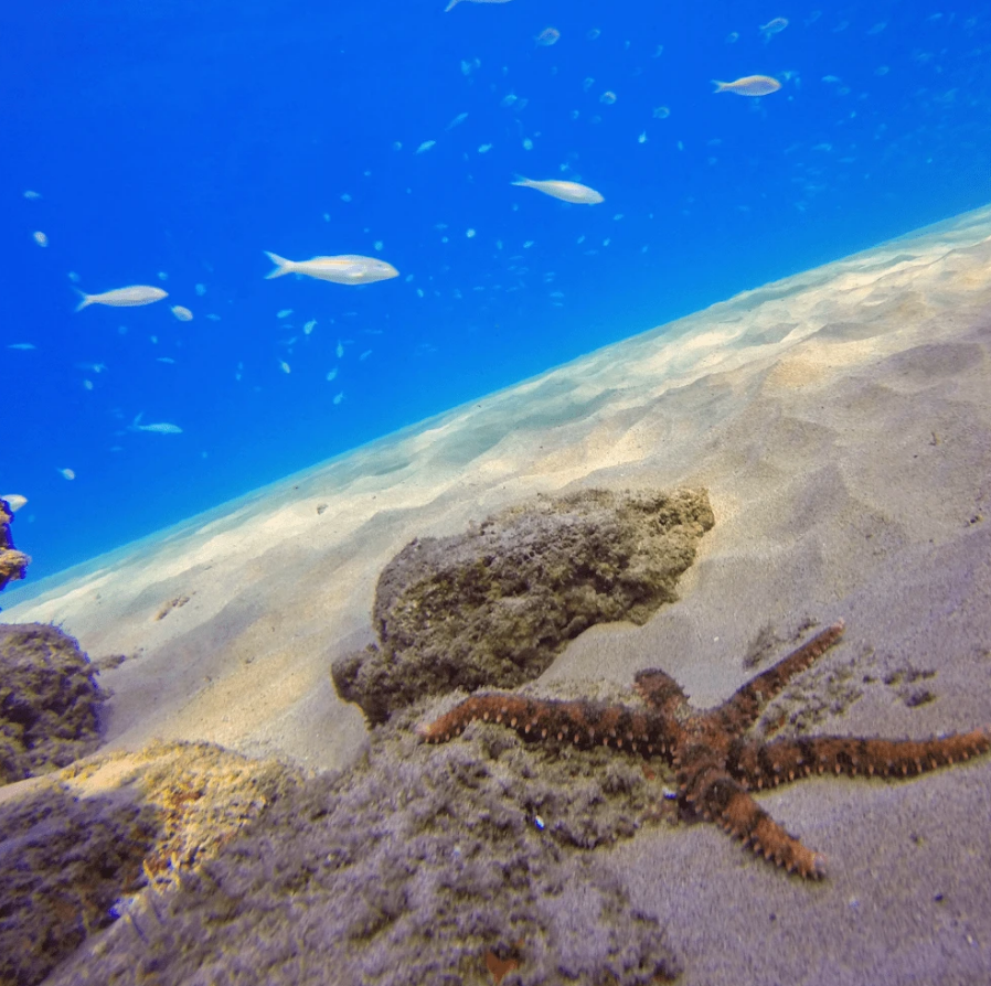 Набор из 3 фильтров PolarPro для GoPro HERO7, HERO6, HERO5 Black в корпусе Super Suit (H5B-1016-SS)