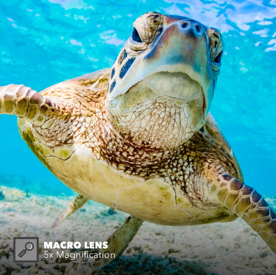 Светофильтры PolarPro SwitchBlade для корпуса Protective Housing GoPro HERO8 Black (H8-SWCH-PROT)